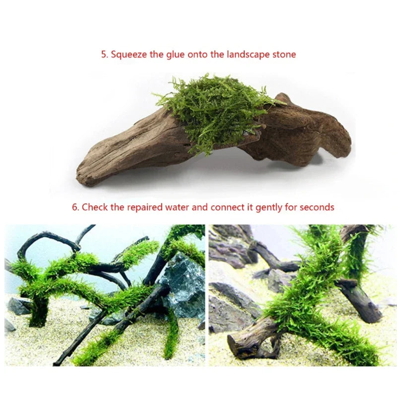Fish Tanks Landscaping Aquarium No Marks Aquarium Supplies