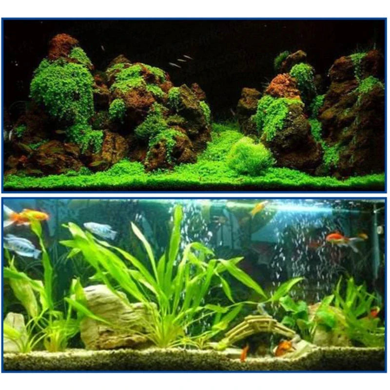 Fish Tanks Landscaping Aquarium No Marks Aquarium Supplies