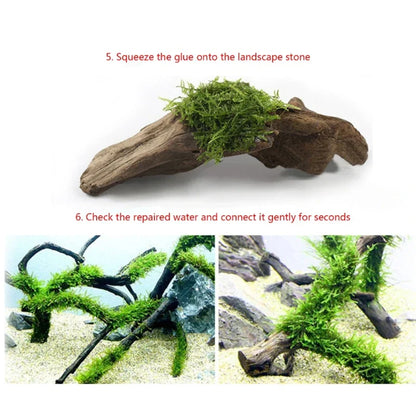 Fish Tanks Landscaping Aquarium No Marks Aquarium Supplies